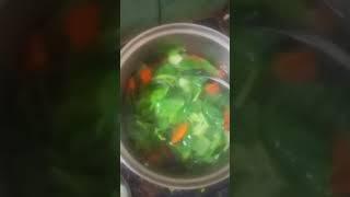 sayur bayam