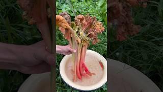 Варенье из ревень #природа #food #travel #cooking #asmr #foodie #рецепты #еда