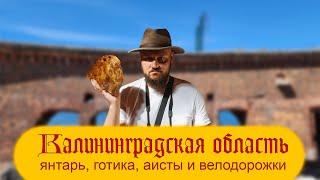 Калининградская область. Янтарь, готика, аисты и велодорожки.