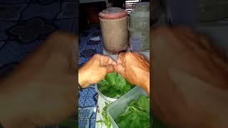 Sayur bayam hasil kebun