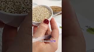 Conociendo los Pseudo Cereales  Quinoa, Trigo Sarraceno y Amaranto