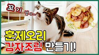 낯선 사람 방문 후 고양이 반응~