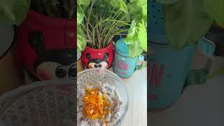 Семейный салат #youtubeshorts #рецепты #recipe