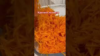 Салат морковь по корейски ))) морковь 1 кг приправа 40гр масло 30 гр #салат #рецепт #блюдоизморкови