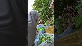 kang sayur heboh saat aku belanja