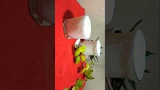 Brazilian Lemonade Recipe in Bengali Style || Brazilian Lime Drink #viral #food #shorts  #recipe