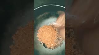 masoor dal #video #shortclips