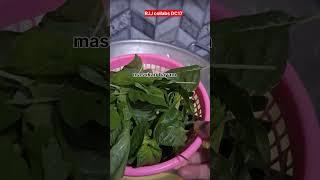 JANGAN BUANG !!! BAYAM & SANTAN dikasih Rempah jadi Sayur SEDAP. Cek Resep & Cara masaknya, LENGKAP