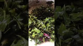 #water amaranthus curry#Alternanthera Sessilis curry #recipe #like #subscribe